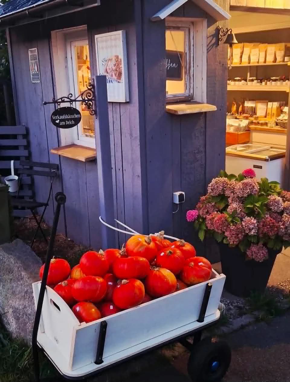 Verkaufshäuschen am Deich (Karolin Mues, Berne-Motzen) — kleines blaues Holzhäuschen mit Schild „Verkaufshäuschen am Deich“ und Bollerwagen voller Hokkaido-Kürbisse davor.